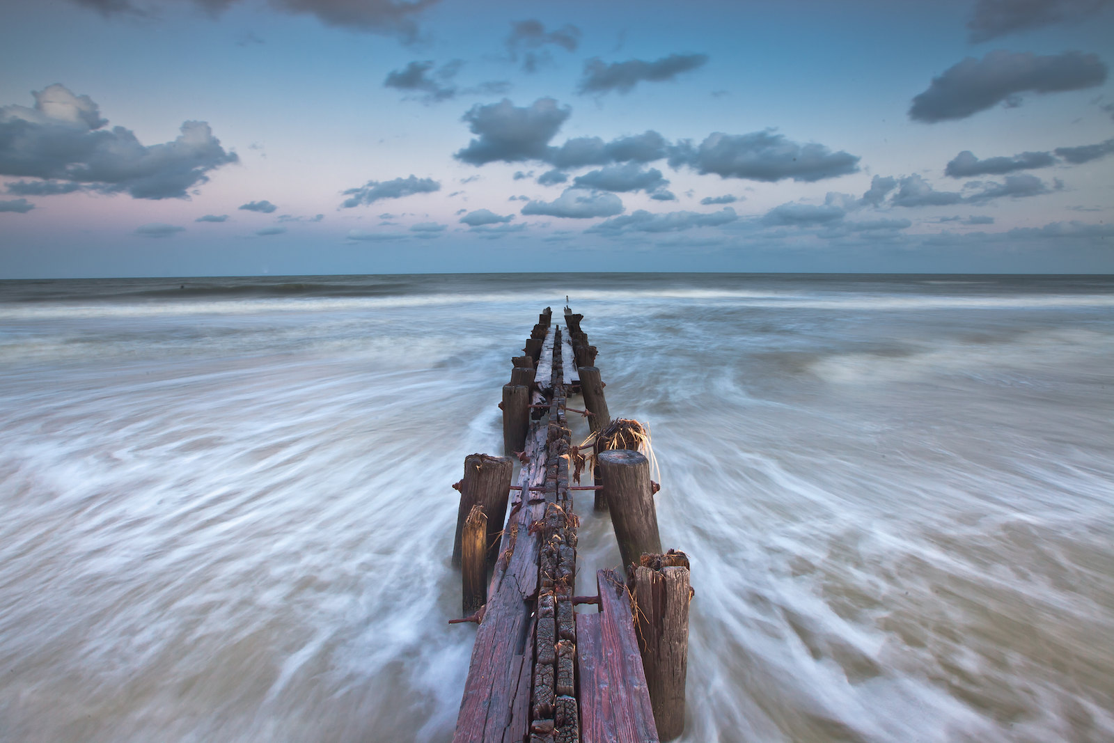 DogFriendly Beaches In & Around Charleston, South Carolina